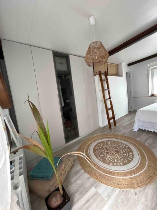Ferienwohnung Casa Reformada En Casco Antiguo Vinarós Exterior foto